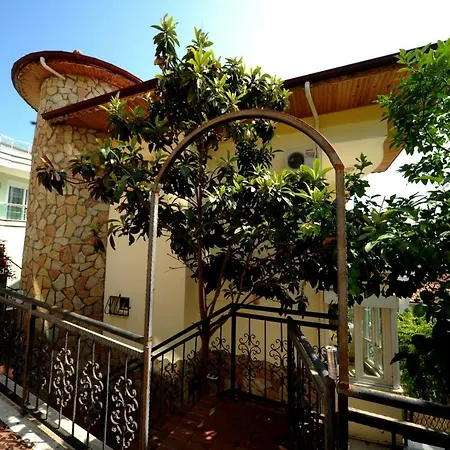 Lux Mustakil 2