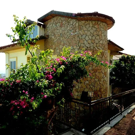 Villa Lux Mustakil 2 *